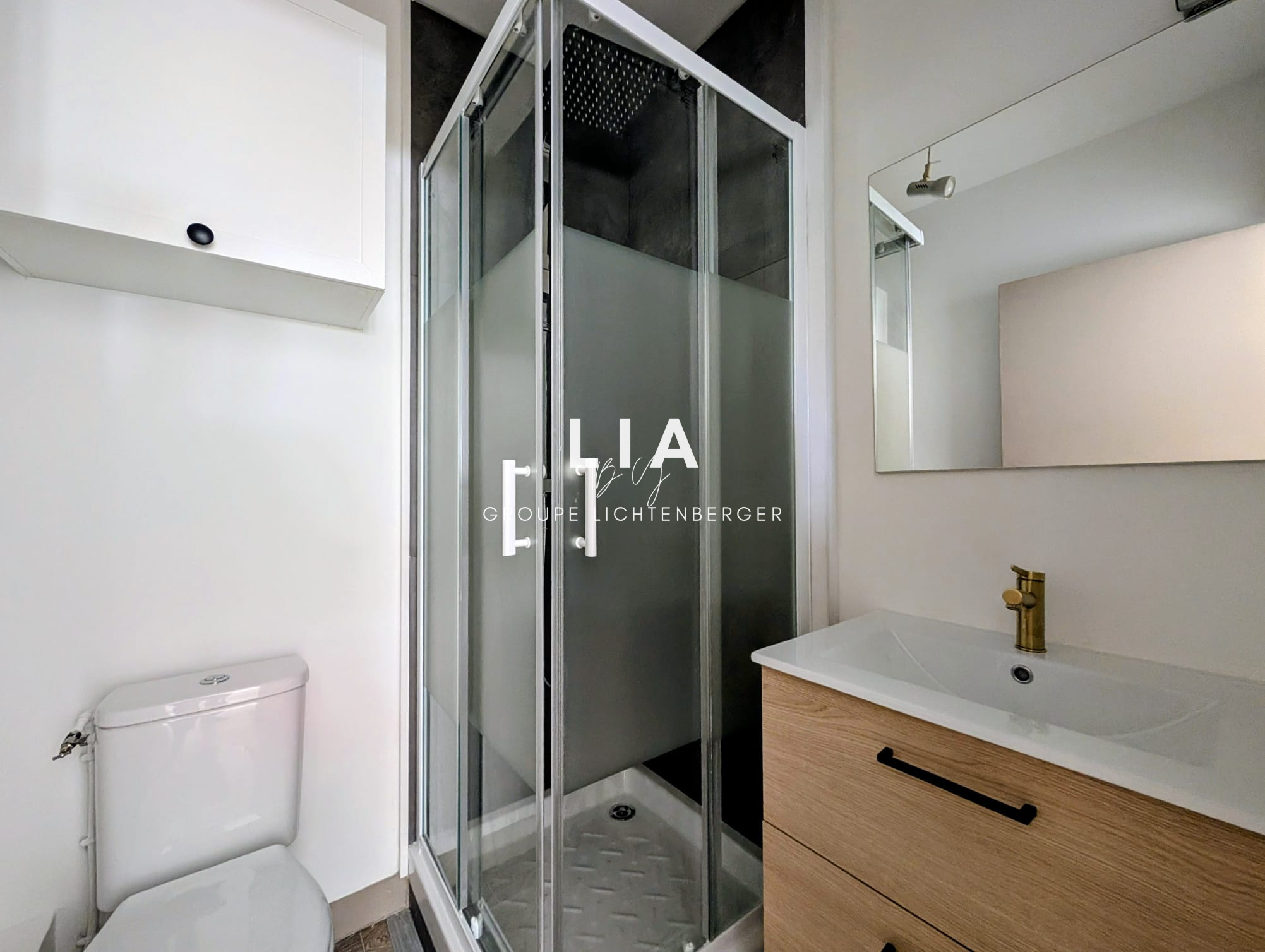 STUDIO 18.95m2 rénové à vendre, COGNIN 73160